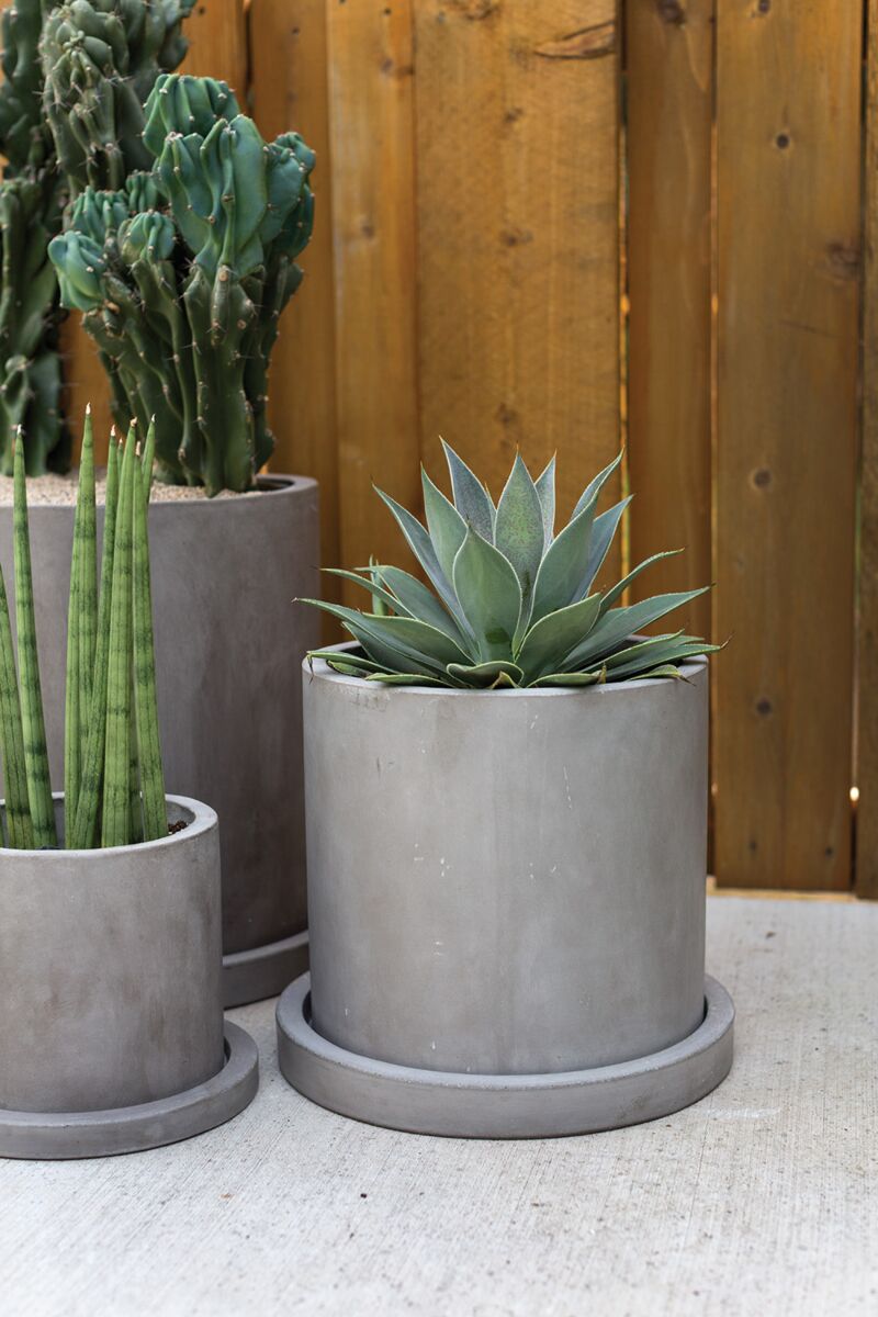 Marta Pot with Saucer