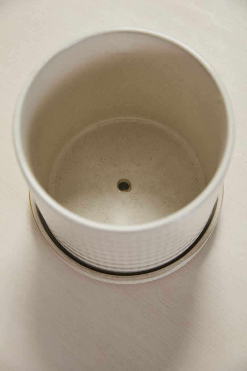 Morse Pot with Saucer