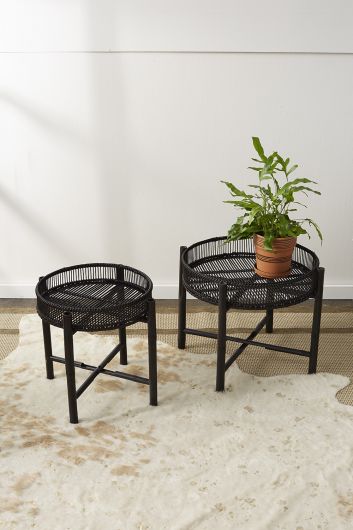 Nash Plant Stand By Accent Decor | Stands | Modishstore - 2