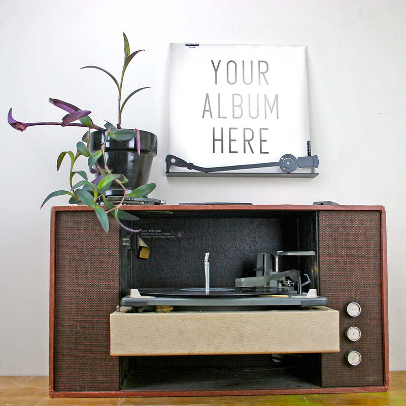 Vinyl Record Wall Display
