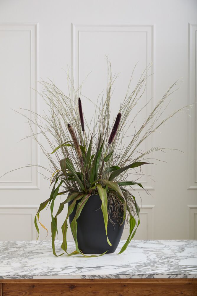 Sasso Vase